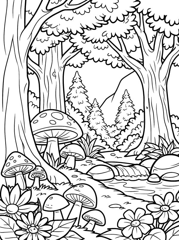Enchanted Forest Adventure